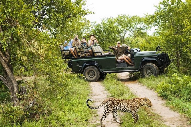 Yala National Park Private Safari (All Inclusive) From Mirissa - The jeep, guide, and entry fees: what your money is buying