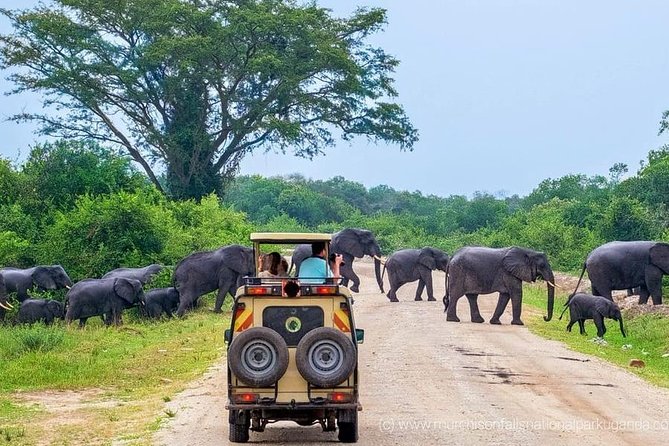 Yala National Park Private Safari (All Inclusive) From Mirissa - The Mirissa or Weligama pickup, plus the two-hour ride