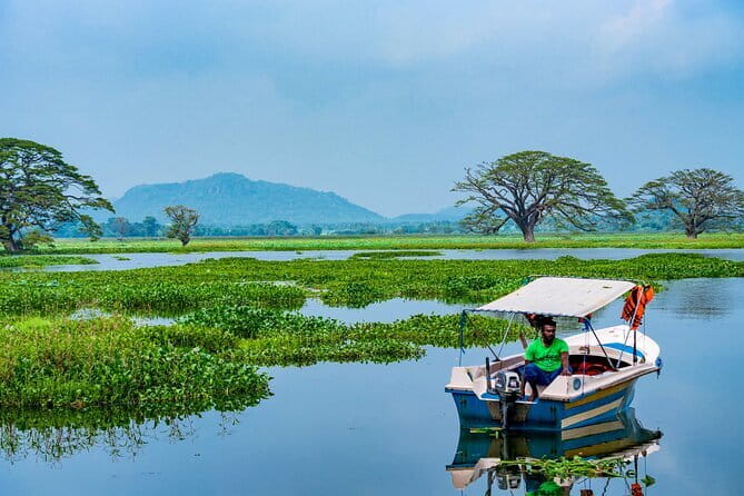 Yala National Park Safari - Half day and Full day - Wildlife targets you can plan around, not just hope for