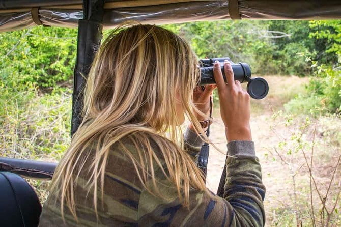 Yala National Park Safari - Half day and Full day - Eco-minded safari behavior, and what to look for