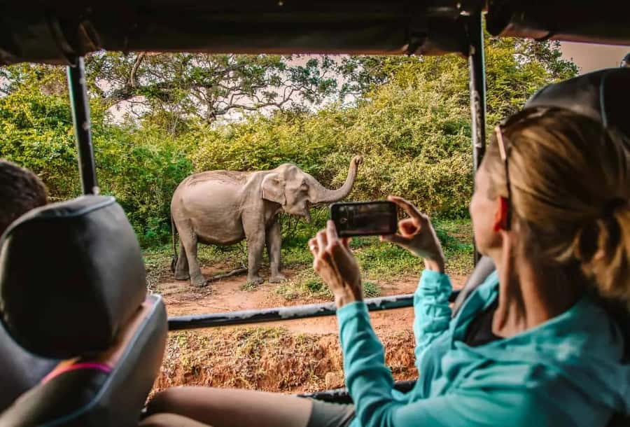 YALA National Park Safari Tour : Half day or Full day Tour - Key things to know before you ride