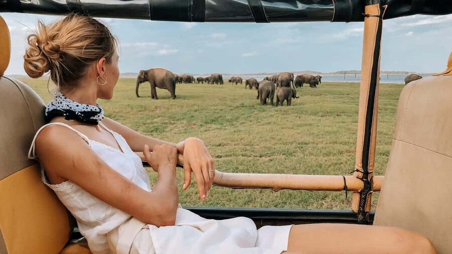 Yala National Park - Safari Tour with Hotel / Accommodation - Sunset Safari or Sunrise Safari, Chosen by Your Check-In Time