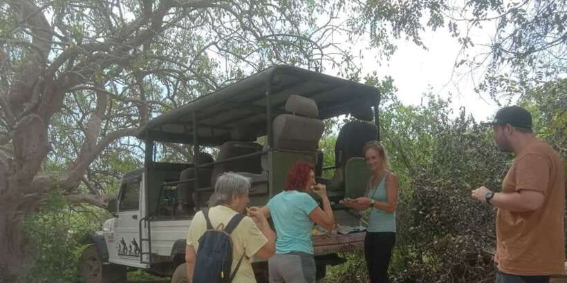Yala National Park Sharing Safari (5 Hours) - Yala’s golden hours are the whole point