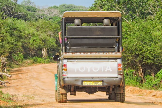 Yala National Park special Half-Day & Full-Day Safari Adventure - How the early start affects your odds (and how to enjoy the wait)