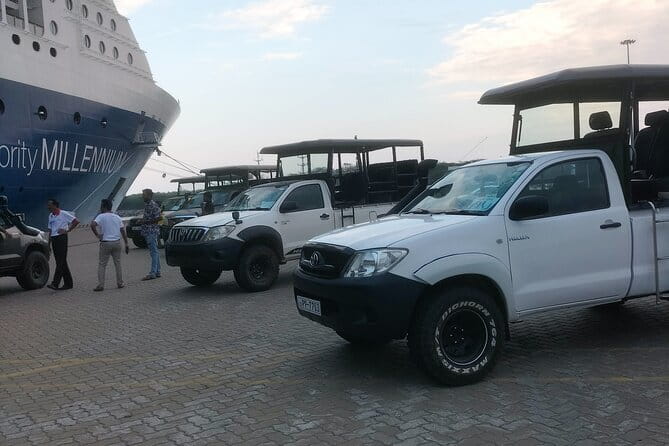 Yala National Park Tour From Hambantota Port - Entering Yala National Park, What You Actually Do During the Safari