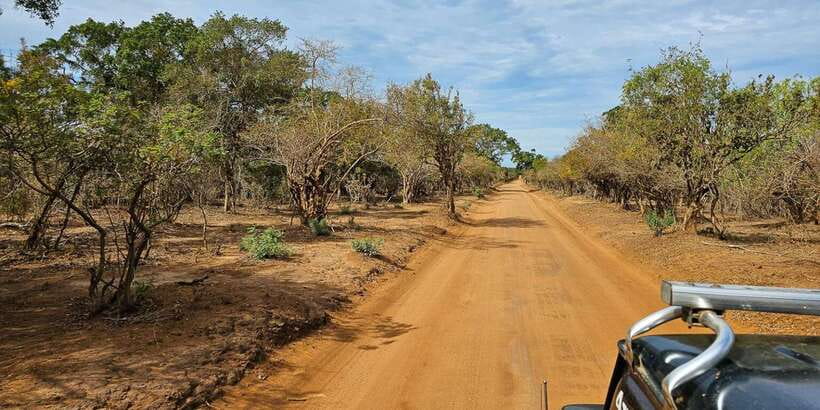 Yala National Park Wildlife safari from Mirissa - Key things to know before you go
