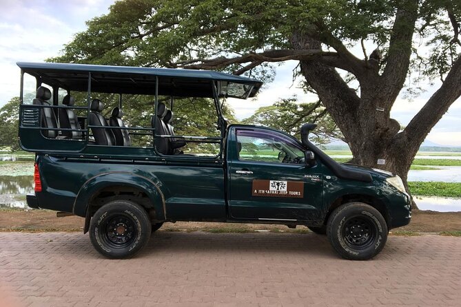 Yala National Park Wildlife Safari/ Game Drive - by Ajith Safari - Key highlights that matter on the ground