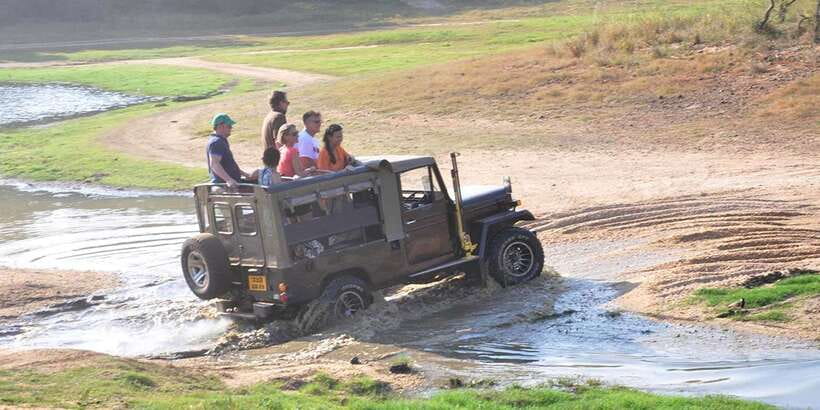 Yala Private Safari - Half Day or Full Day with Picnic Lunch - Private Yala safari: what you are actually buying