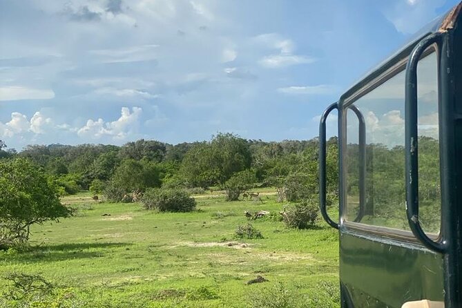 Yala Private Safari Jeep Half Day - The Private Jeep Advantage, How It Changes Your Viewing