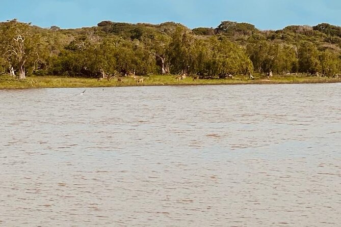 Yala Private Safari Jeep Half Day - What to Expect When You’re Out in the Park