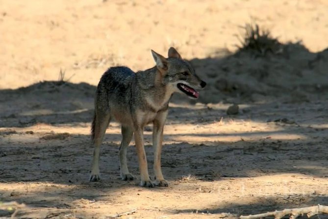 Yala Safari by Yala Safari Wonders - Weather and rainy-day reality: plan like a smart safari person