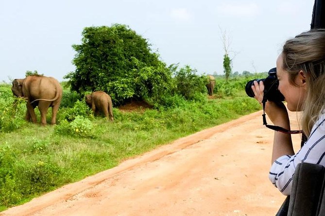Yala Safari Day Trip from Bentota/ Kalutara/ Ahungalla/ Hikkaduwa - Inside Yala National Park: Your 4-Hour Jeep Safari