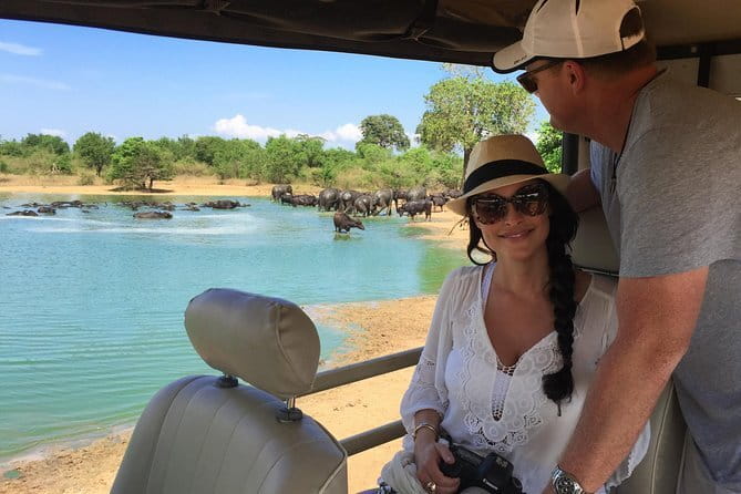Yala Safari Day Trip from Ella/ Tangalle/ Dikwella/ Hambantota - Inside Yala: The 4-Hour Guided Jeep Safari