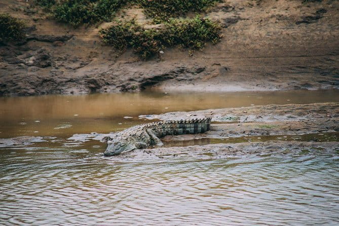 Yala Safari Day Trip from Ella/ Tangalle/ Dikwella/ Hambantota - Lunch, Water, and What to Bring for a Long Day