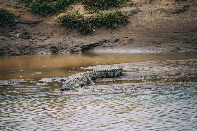 Yala Safari from Hambantota Port by BTM - Private & All Inclusive - Is this the right safari for you?