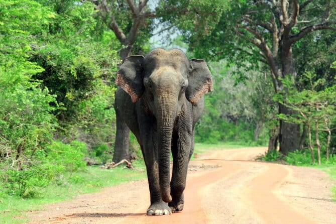 YALA SAFARI TOUR from Galle/Unawatuna/Mirissa/Tangalle/Ella - Stop 1, your Yala National Park game drive block