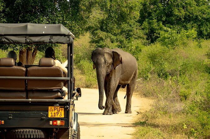 YALA SAFARI TOUR from Galle/Unawatuna/Mirissa/Tangalle/Ella - Breakfast on morning safaris, how that changes your whole day