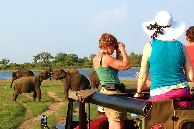 Yala Safari Tour from Hambantota Port (Shore Excursion) - Getting to Yala from Hambantota Port: how the pick-up works