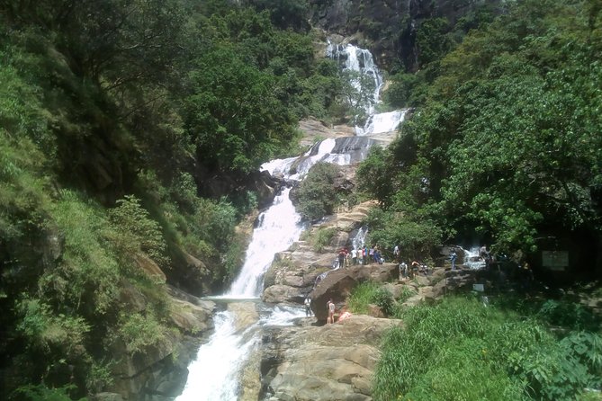 Your Private 06 nights and 07 Days tour - Day 4 Kandy Sacred Tooth Relic, Peradeniya Gardens, a Gem Museum, and Arthur’s Seat Views