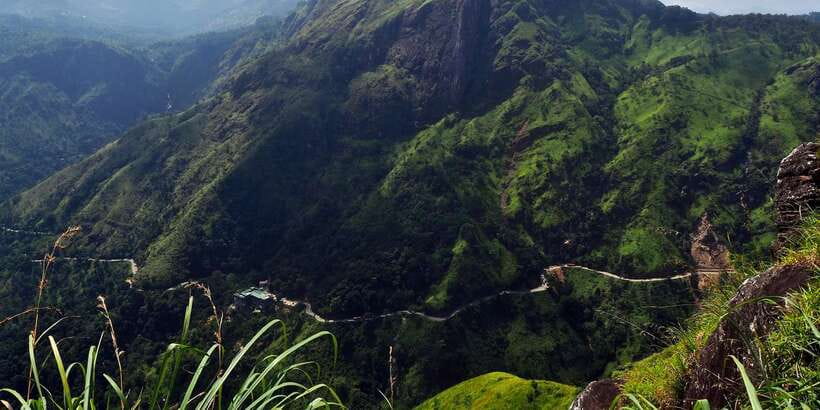 Zip Lining in Ella - Price and Value: What $51 Buys (and What It Might Not)